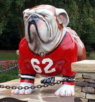 UGA Football Player History Dog