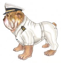 Navy Dog Concept Sketch (Side View)