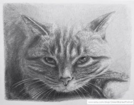 Portrait of Lilly
