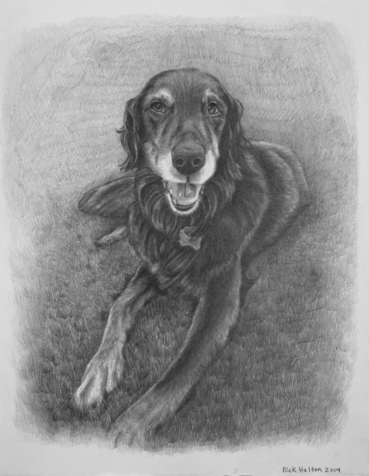 Portrait of Max the Dog