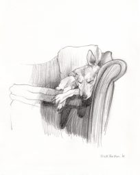 Portrait of Sophie the Dog