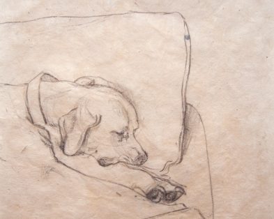 Portrait of Madison the Dog